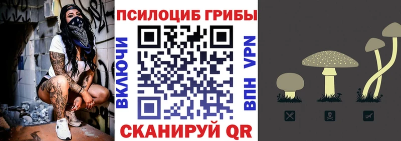 Галлюциногенные грибы MAGIC MUSHROOMS  Курлово 